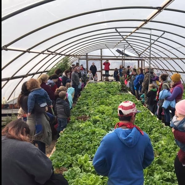 A group of YWAM Agtech student are gathered inside a greenhouse, standing around a punch of plants and learning about aquaponics.