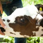 AGRICULTURAL TECHNOLOGY