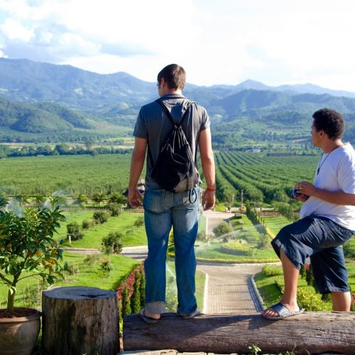 Two Agtech students stand at the precipice of a lush field of crops, staring out over it all.